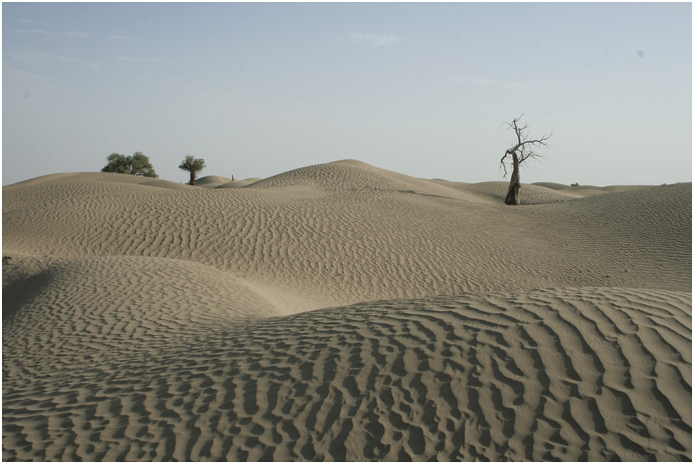 Pustynia Takla Makan w Xinjiangu, Chiny.