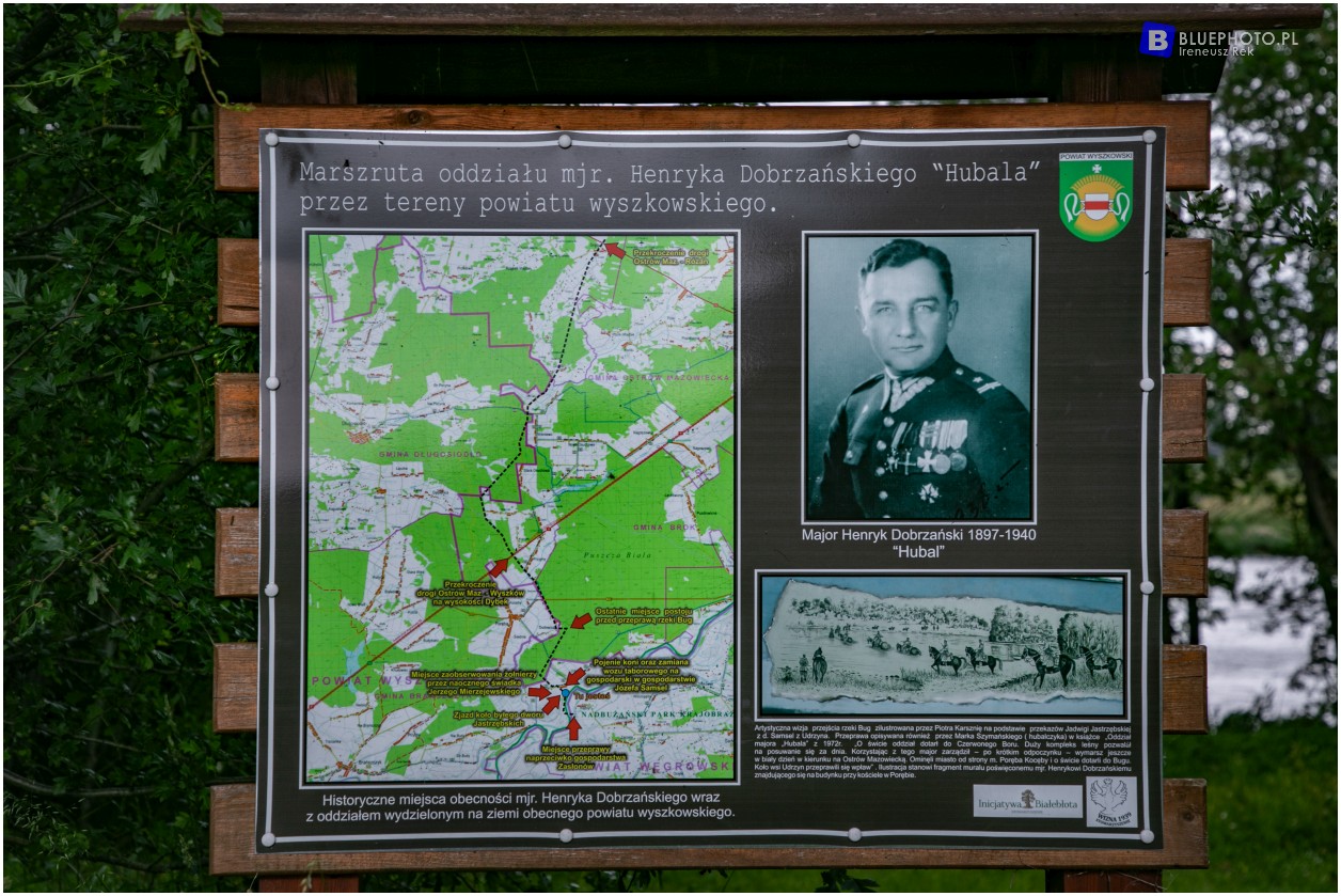 brok pultust 2V6A4878