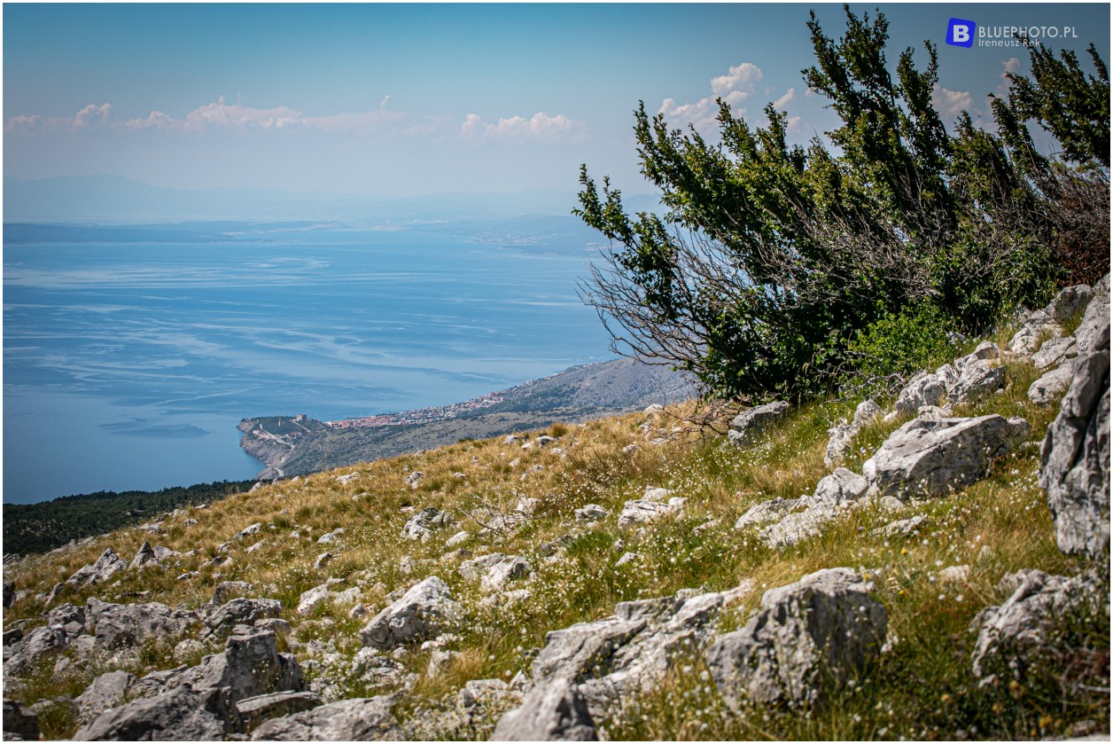 chorwacja 2020 2V6A6739