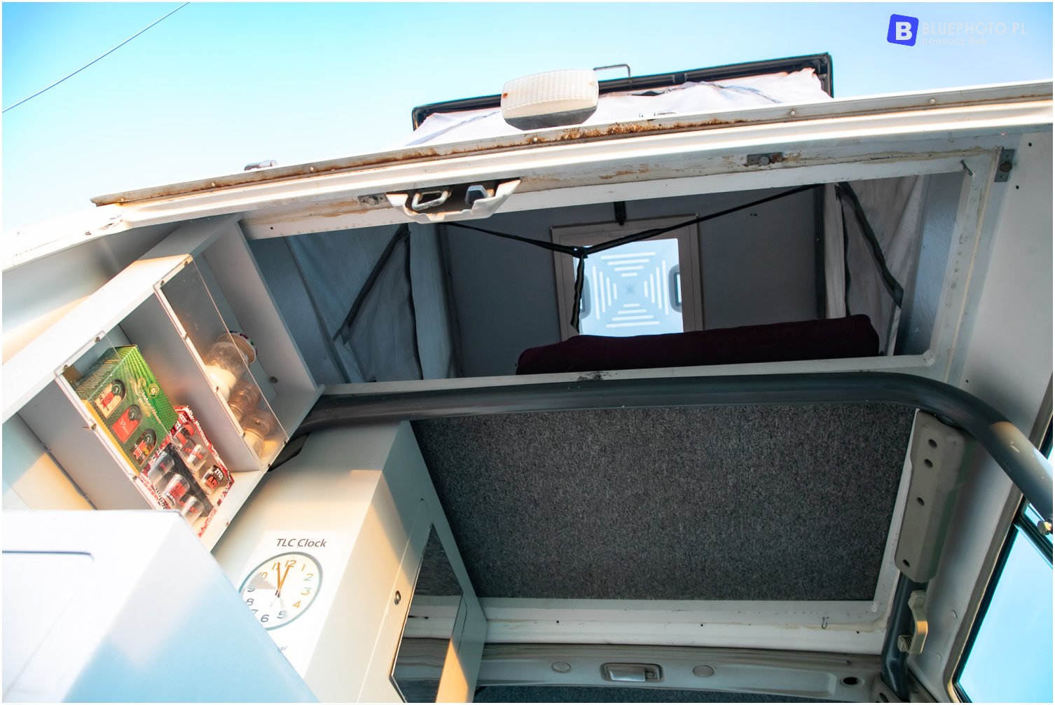 JZJ73 galka 2V6A8731