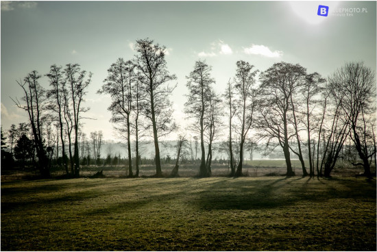 2021.02_LC150_TMPL___2V6A3263