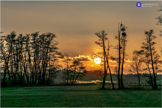 2021.02_LC150_TMPL___2V6A3328