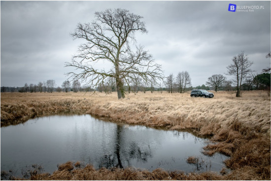 2021.02_LC150_TMPL___2V6A3773