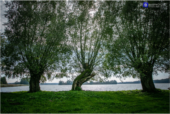 mazury_09.2021___2V6A0826