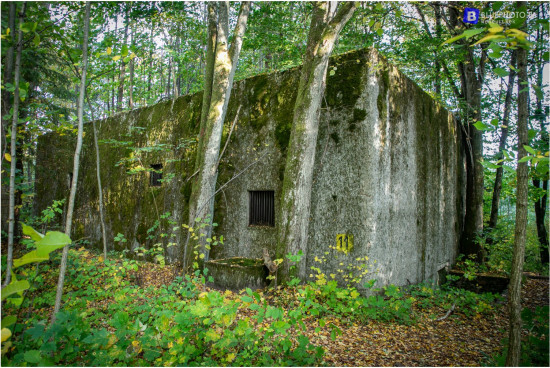 mazury_09.2021___2V6A0997