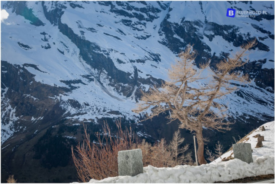 slowenia_majowka_2017__IMG_4637