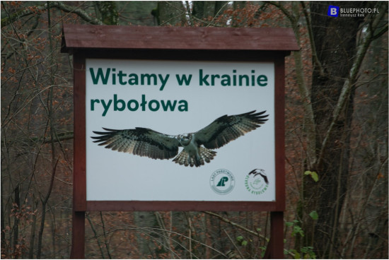 terra_masuria_11.2021___2V6A5218