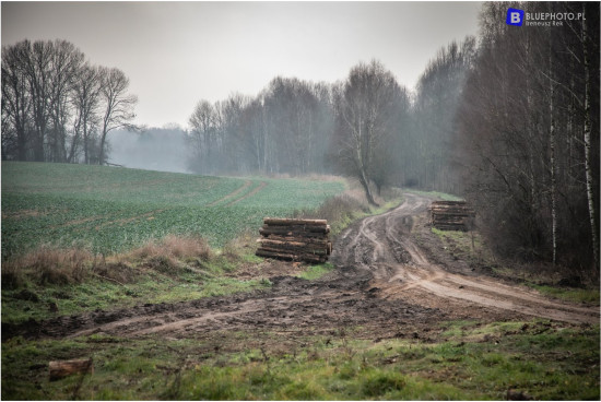 terra_masuria_11.2021___2V6A5424