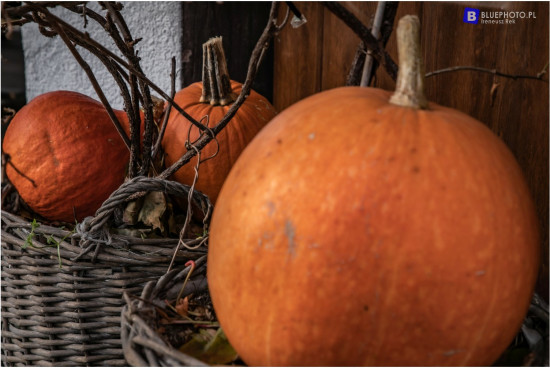 terra_masuria_11.2021___2V6A5489