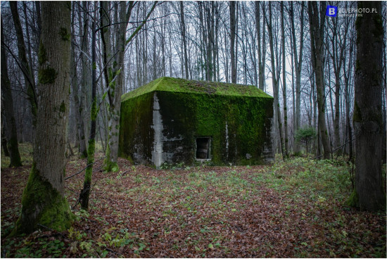 terra_masuria_11.2021___2V6A5928-2