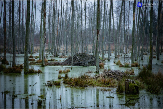 terra_masuria_11.2021___2V6A5944