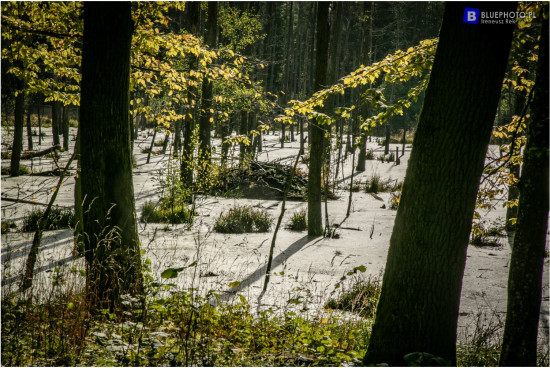 mazury_09.2021___2V6A0503