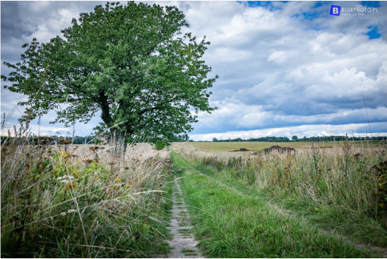 2022.09-drawsksko___2V6A1024