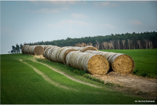 2018.04_wlosciejewki_bartosiak___DSC_8508