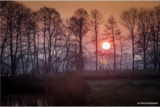 2018.04_wlosciejewki_bartosiak___DSC_8526