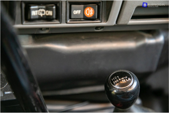 JZJ73_galka___2V6A8692