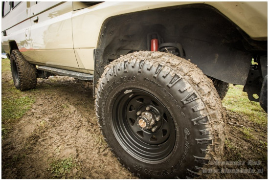 Buschtaxi2014___IMG_5957