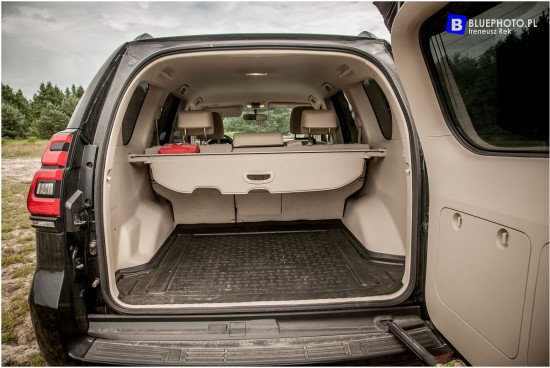 2018.06_LC_IGOR__IMG_0430