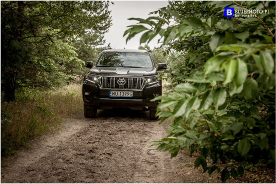 2018.06_LC_IGOR__IMG_0441