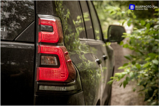 2018.06_LC_IGOR__IMG_0446