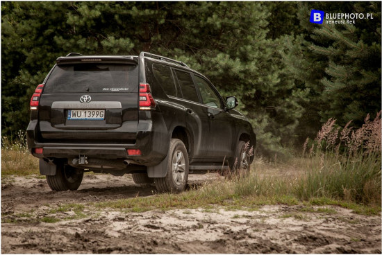 2018.06_LC_IGOR__IMG_0453