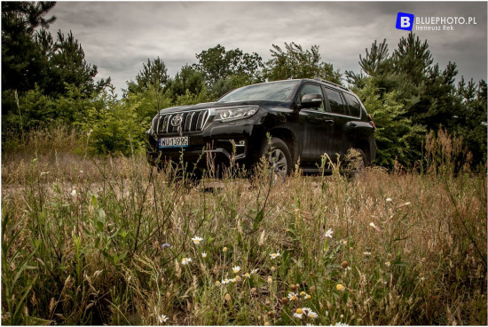 2018.06_LC_IGOR__IMG_0488