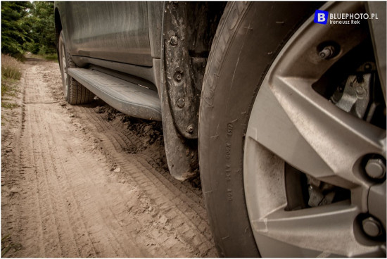 2018.06_LC_IGOR__IMG_0491