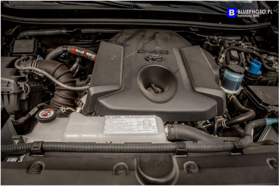 2018.06_LC_IGOR__IMG_0496