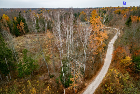 MAZURIA_2024_BLUE9859