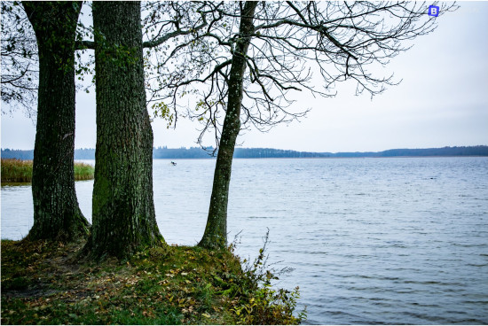 MAZURIA_2024_BLUE9887