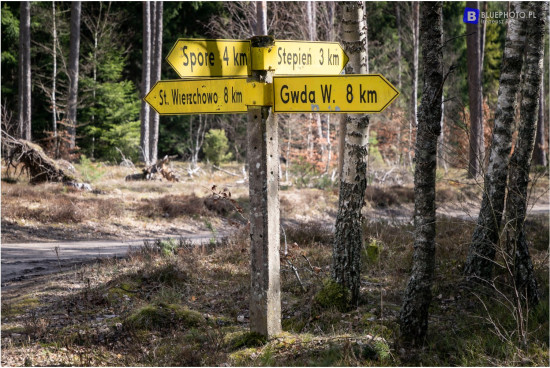 TOF2002_przygotowania_2022.04____2V6A2482