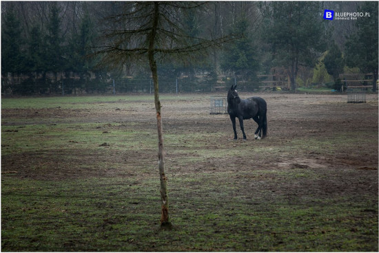 mazovia_10___IMG_1944