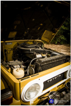 LC40_Leszek_Liszewski__IMG_6195