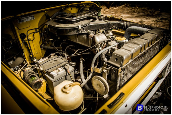 LC40_Leszek_Liszewski__IMG_6199