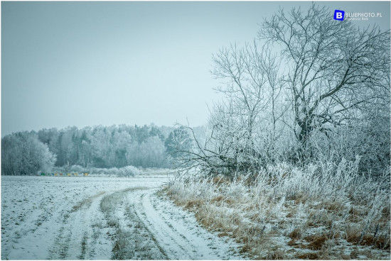 via_mazuria___IMG_3337