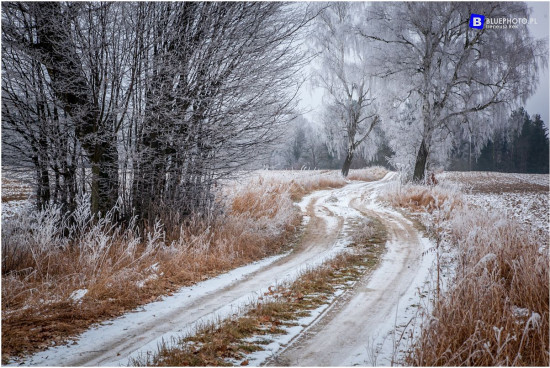 via_mazuria___IMG_3474