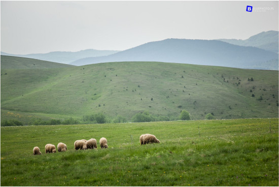 2018.05_SERBIA__IMG_8090