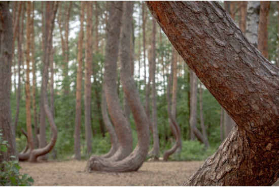 dookola_polski___AroundPolandExpedition-27