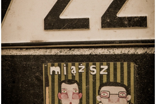 KK_gadzalo_miasz____IMG_6850