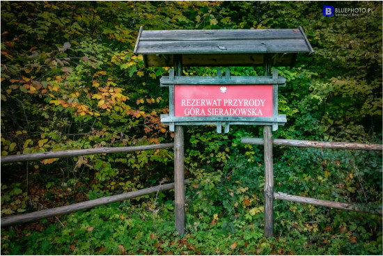 swietokrzyskie_10.2021___2V6A4365