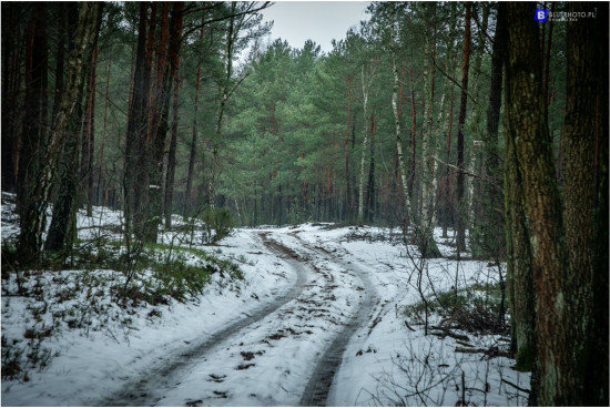 SZKLARSKA-I_OKOLICE__2V6A1006