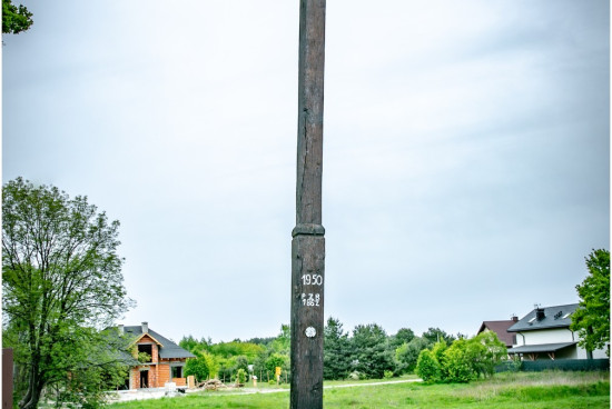 2020.05.trasa_wesola_bialobrzegi___2V6A3374