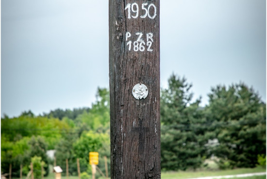 2020.05.trasa_wesola_bialobrzegi___2V6A3375